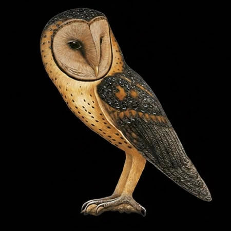 Tyto manusi